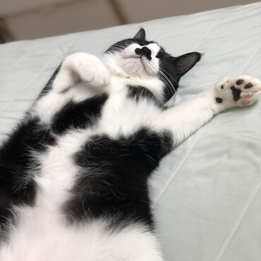 の写真