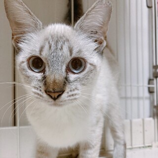 10/17西千葉ෆ⃛応募者多数の為募集ストップです