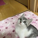 小さいけどとても美人さん　ベス❣️