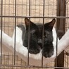 「写真はいいから早く出たいでち」