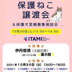 第2回伊丹空港保護ねこ譲渡会&保護犬里親募集相談会 サムネイル1