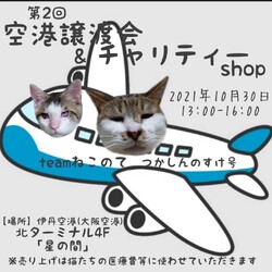 第2回伊丹空港保護ねこ譲渡会&保護犬里親募集相談会 サムネイル2