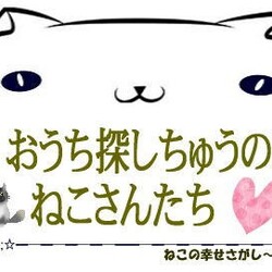 阪急千里山線　吹田駅近く　ねこの譲渡会 サムネイル2