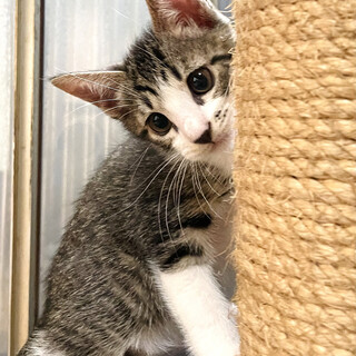 良いご縁がありました！