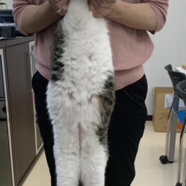 食いしん坊なのでダイエット頑張ってます♡