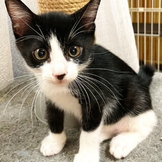 いいご縁に繋がりました！