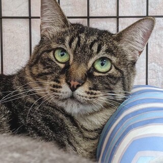 控えめ女子　まぁるい　まめ豆♀