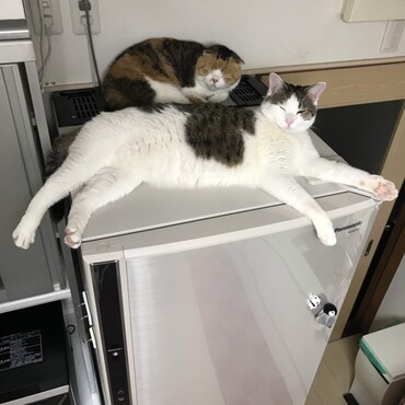 ♡