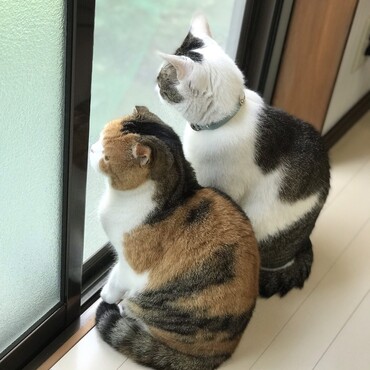 ♡