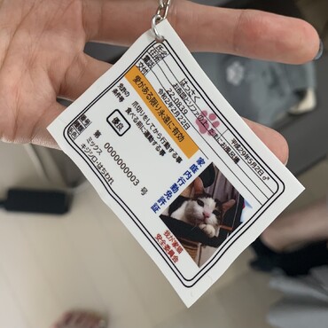 はっさくの免許証♡