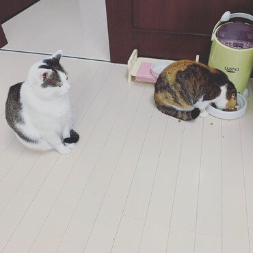 おねぇちゃんが先です。