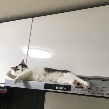 小顔なのです♡