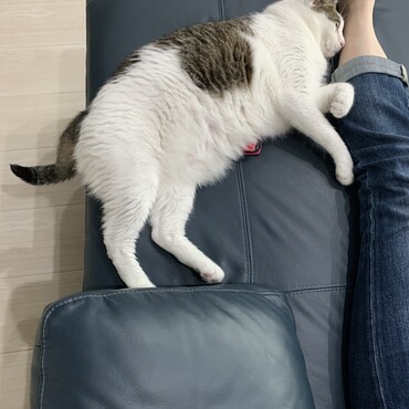 母ラブ♡