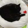 なかむら(さ)
