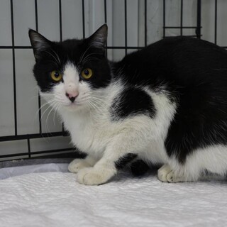 キリッとイケメン♡そらくん