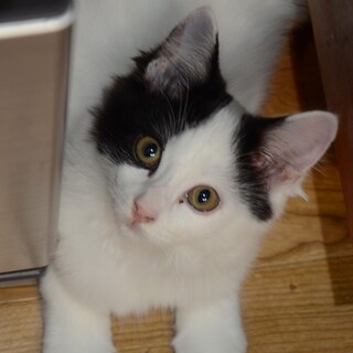 元気いっぱい！好奇心旺盛な男の子⭐︎マルくん