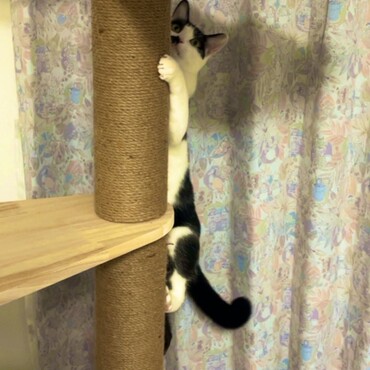 の写真