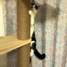 の写真
