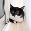 まん丸おメメの甘えん坊