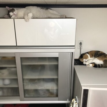 の写真