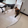 の写真