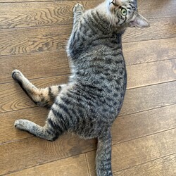 ちょっとだけよ