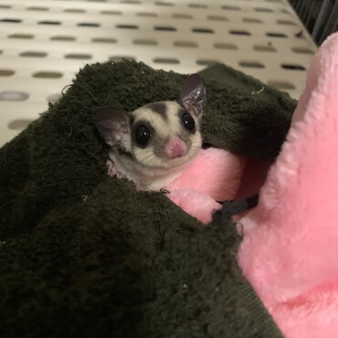 の写真