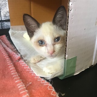 ありがとうございました★ビーナスちゃん