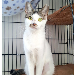 好奇心旺盛で遊ぶのが大好きな女の子みいみい