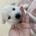 うた君里親様決定！