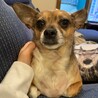 かわいい