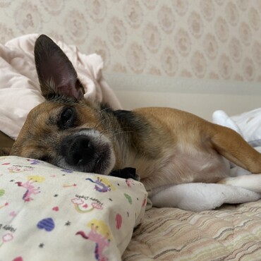 眠いのかな？