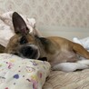 眠いのかな？