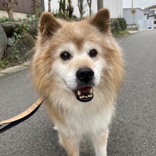 性格◎！優しく穏やかな尊くんに温かい家族を
