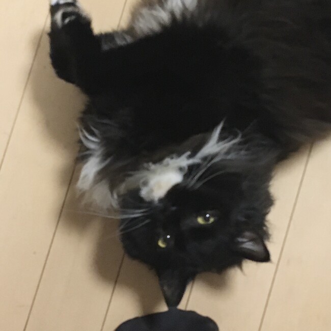 きょう1127のカバー写真