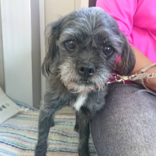 家族に捨てられたこの子を助けてください