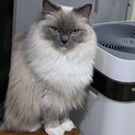 優しい里親さま、よろしくお願いします