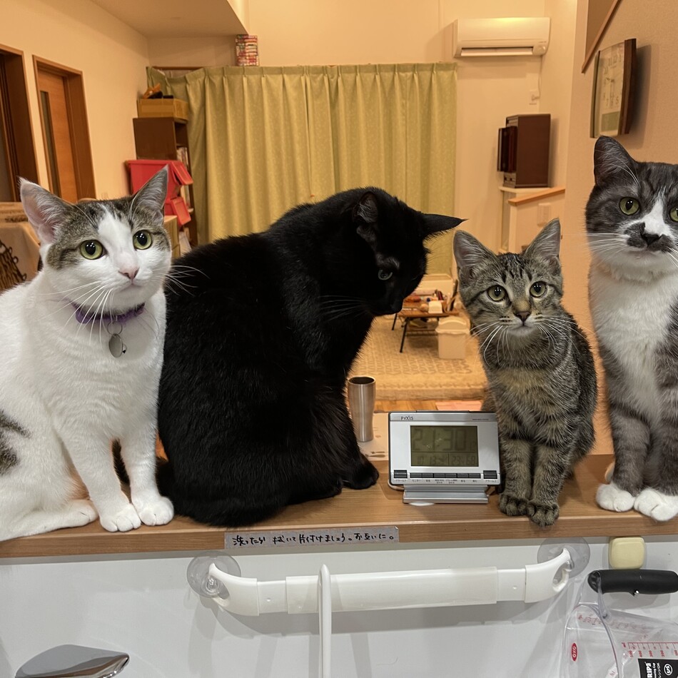 ひばちのカバー写真
