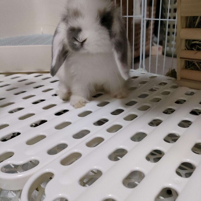 NONONNONのカバー写真