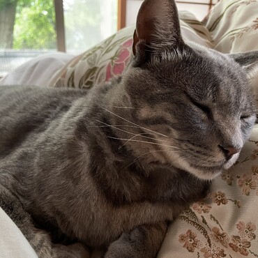初めてふみふみした日の写真