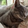 初めてふみふみした日の写真