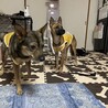 知龍&ひなの