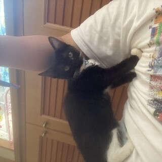 ありがとうございました