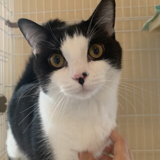 里親様が決まりました