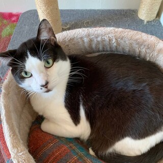 大きなミスターくん！おっとり甘えん坊