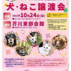 NPO法人アニマルはにまる高槻による犬・猫譲渡会