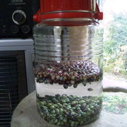 「ベルクさん、グリムリーパーさんにヘタれる！」サムネイル3