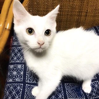 超甘えん坊のおっとり姉妹☆ユキちゃん