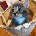 とにかく可愛いミトくん