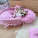 募集締め切りました